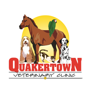 Quakertown Veterinary Clinic Photo