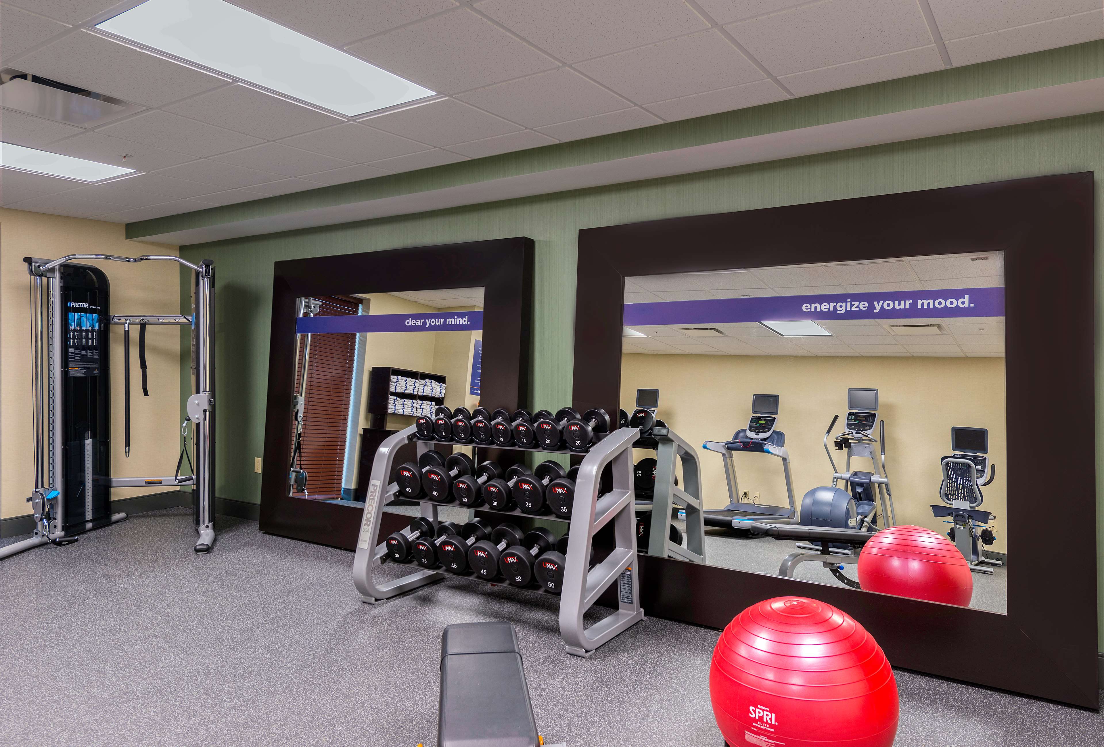 Health club  fitness center  gym