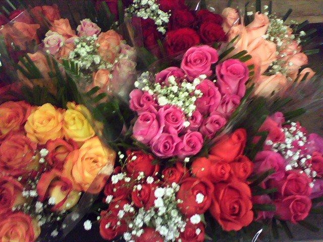 Assorted color rose bunches every day special $19.99!