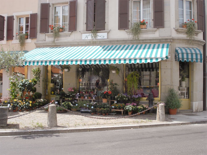 Galerie-Thumbnail