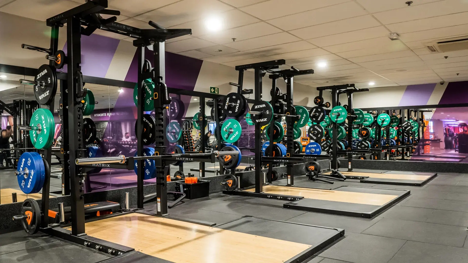 Miniature de la galerie