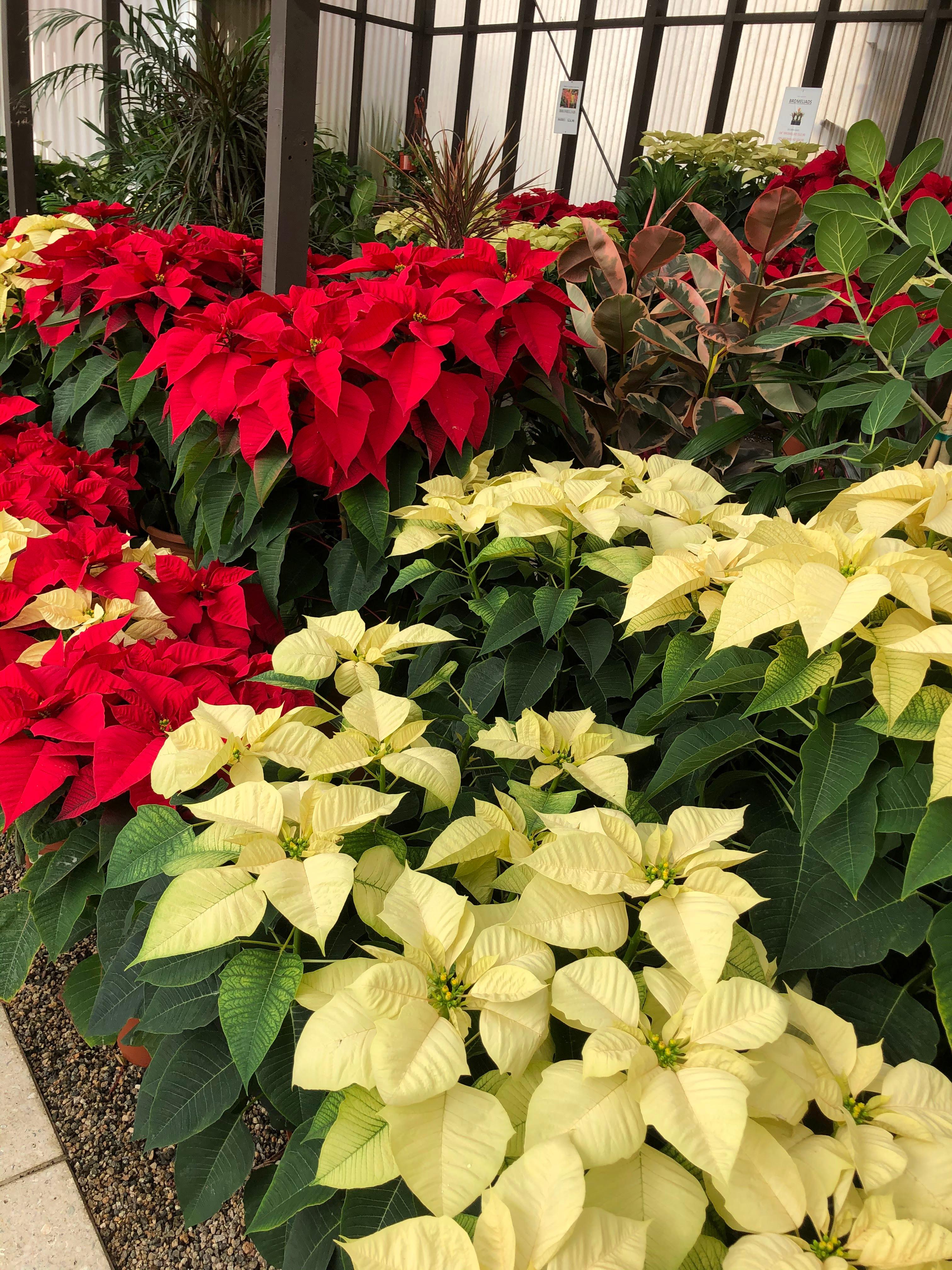 Moller’s Garden Center Image