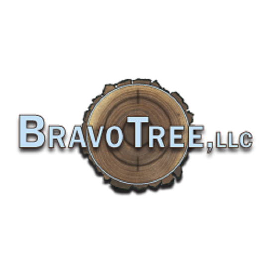 Bravo Tree LLC Logo