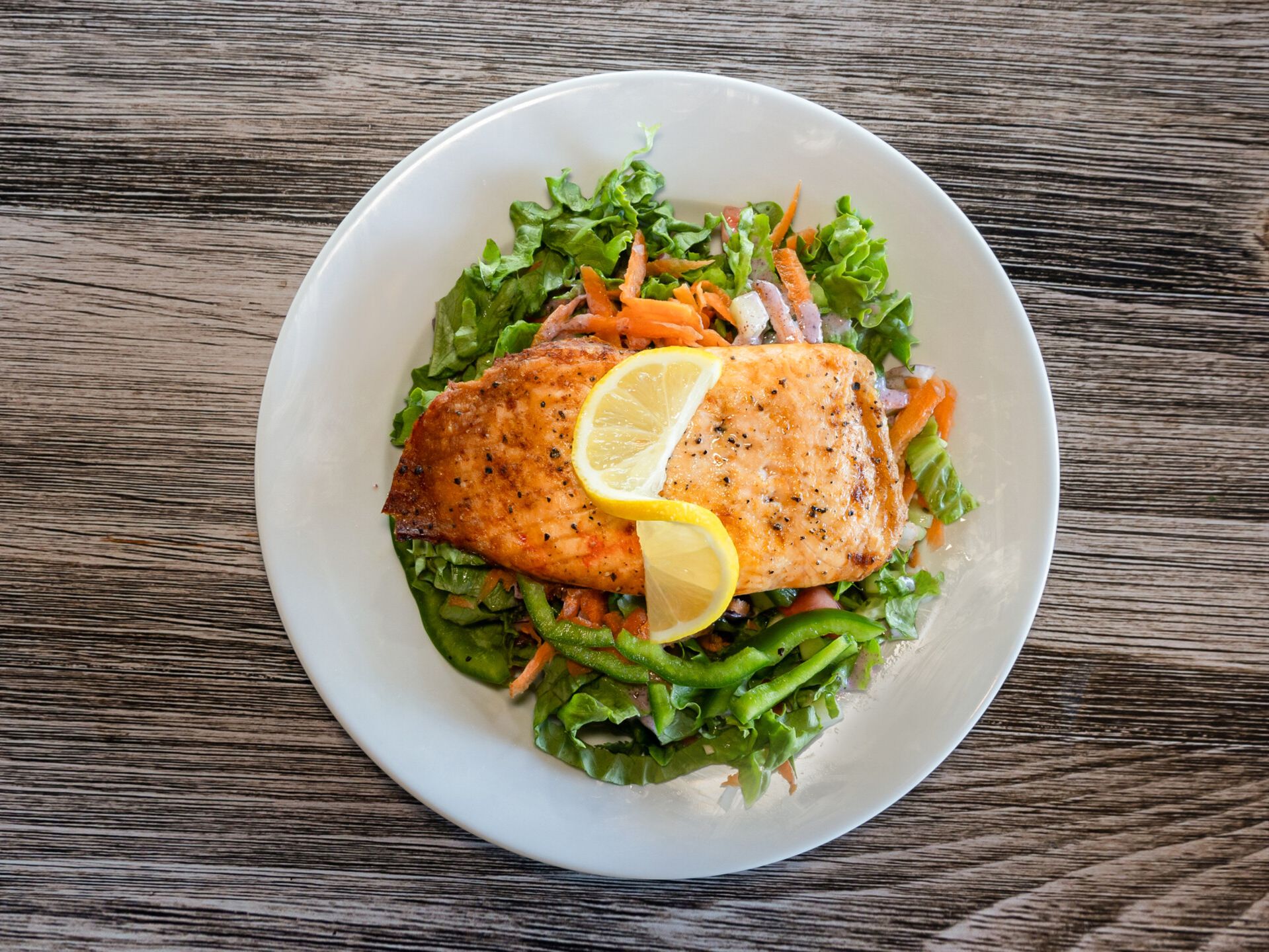 Salmon Fish