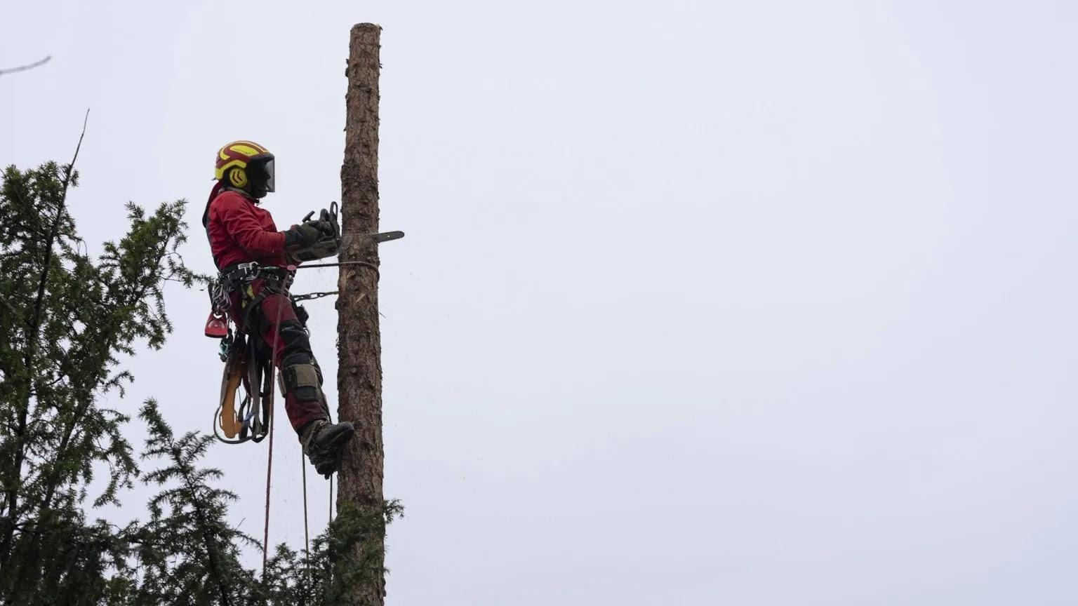 Verified Outdoor Services Image