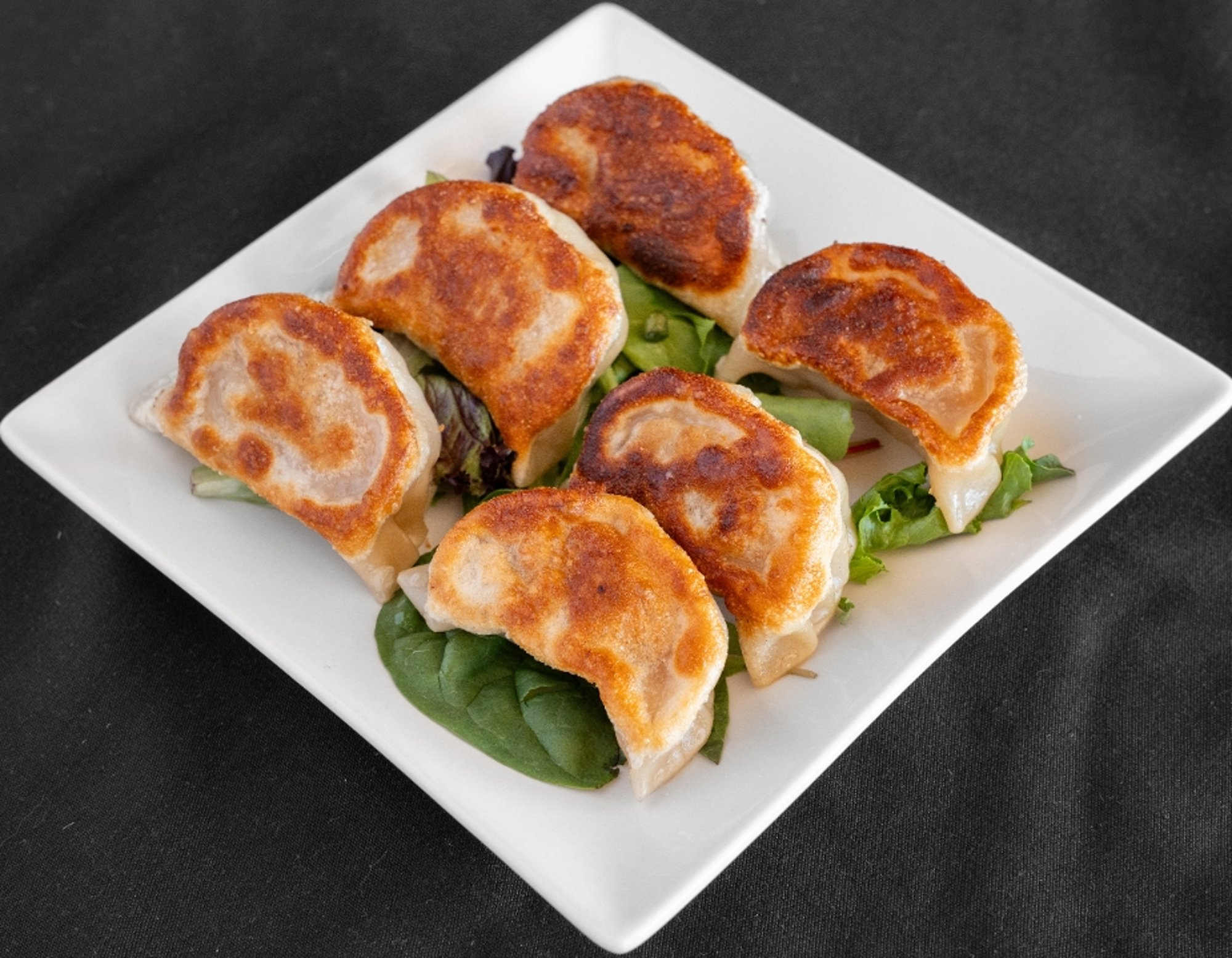 Pan Fried Pork Dumplings