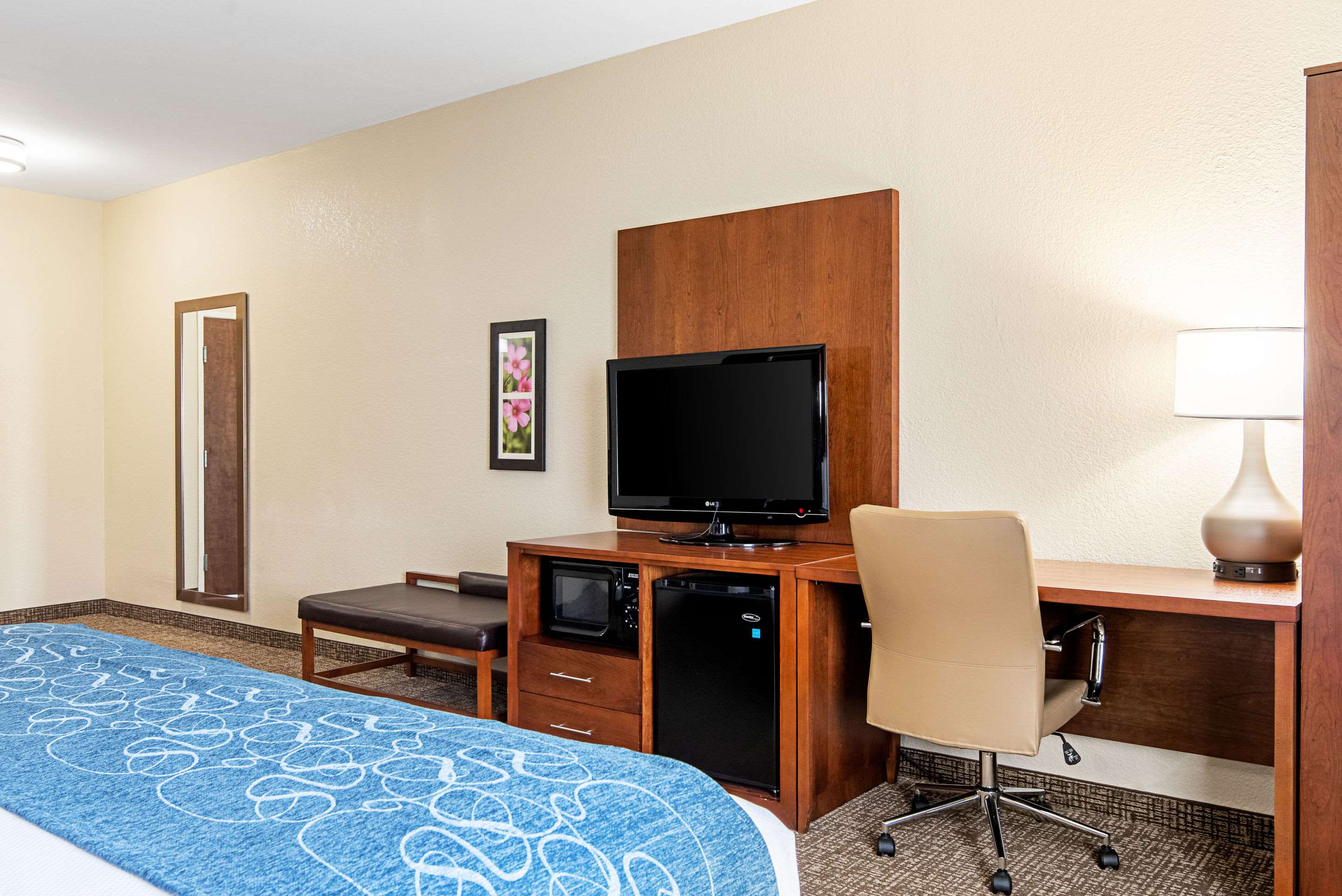 Comfort Inn & Suites Photo