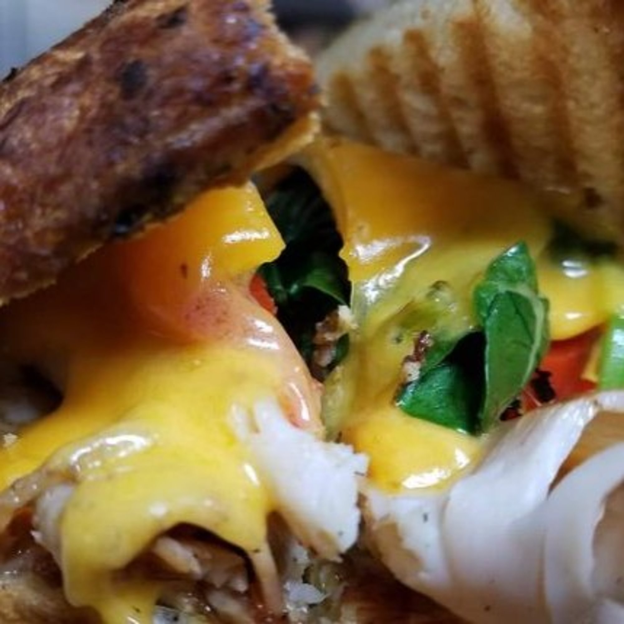 Turkey Grilled Sandwich