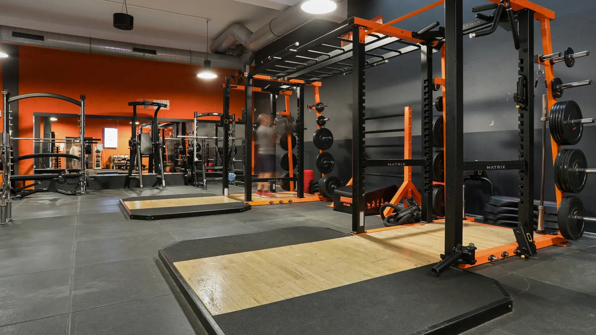 Miniature de la galerie