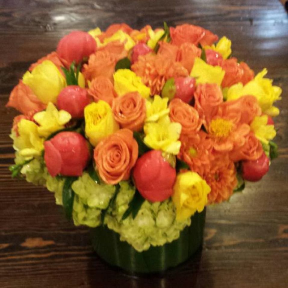 Orchid Republic Image