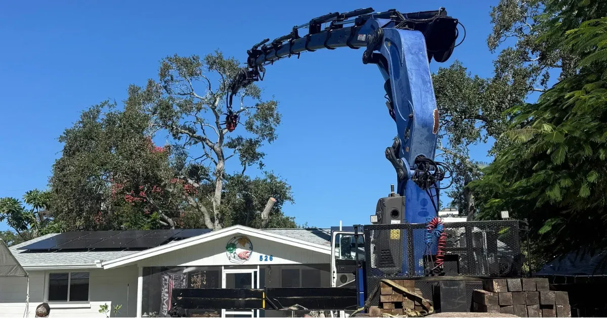 My Florida Tree Guys Image