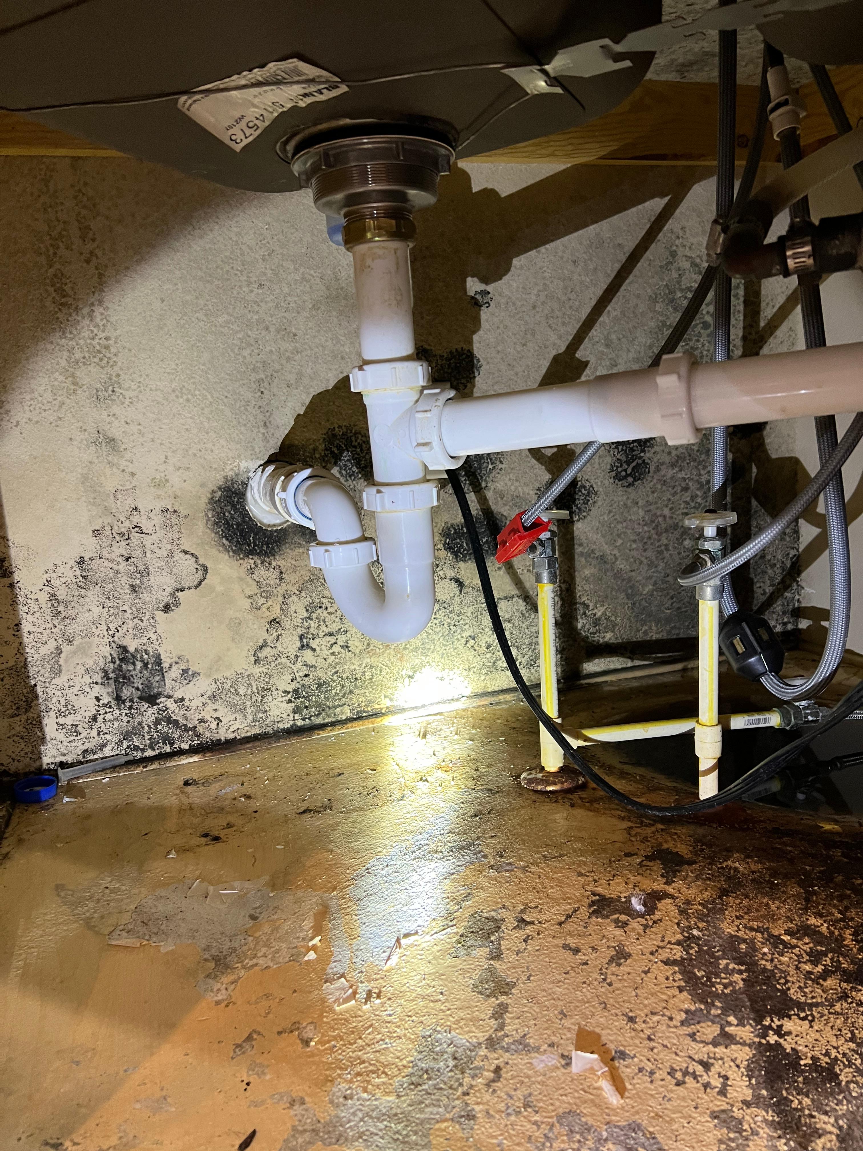 Mold growth below kitchen sink