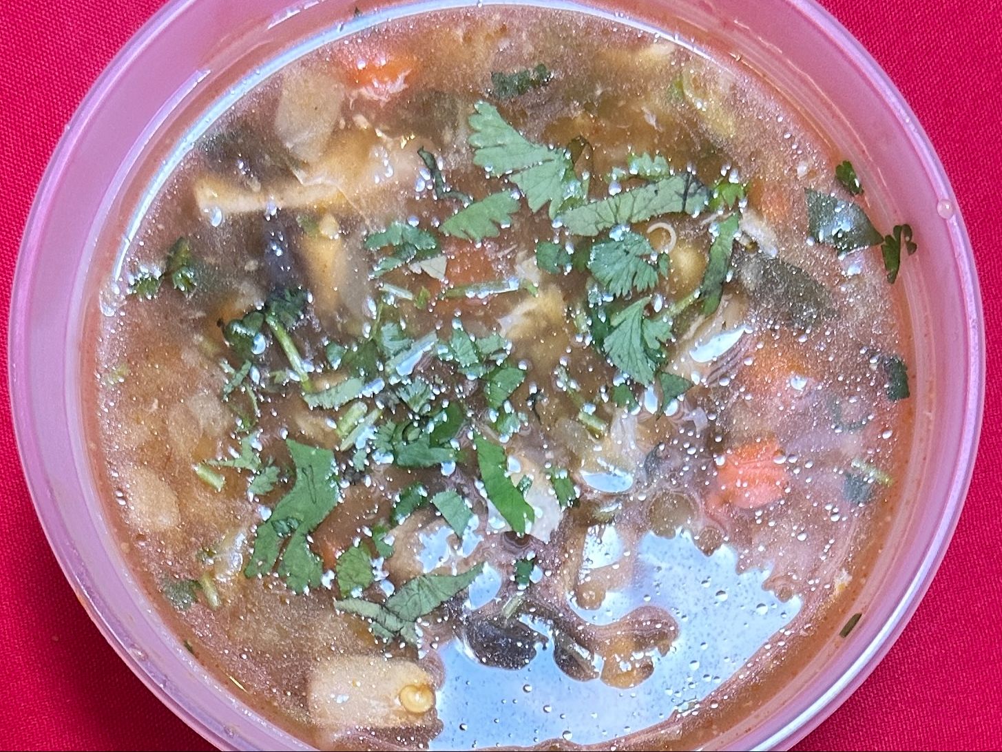 Hot & Sour (Vegetable)