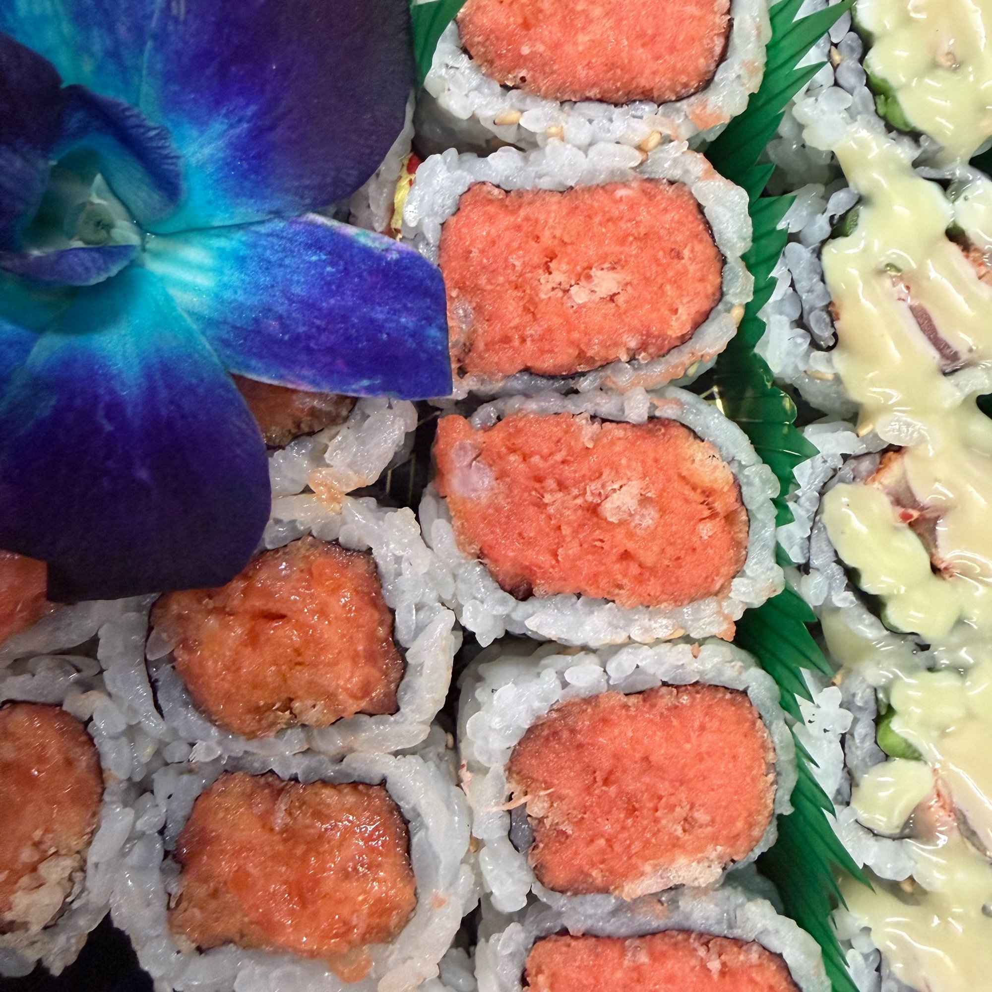 Spicy Salmon Roll