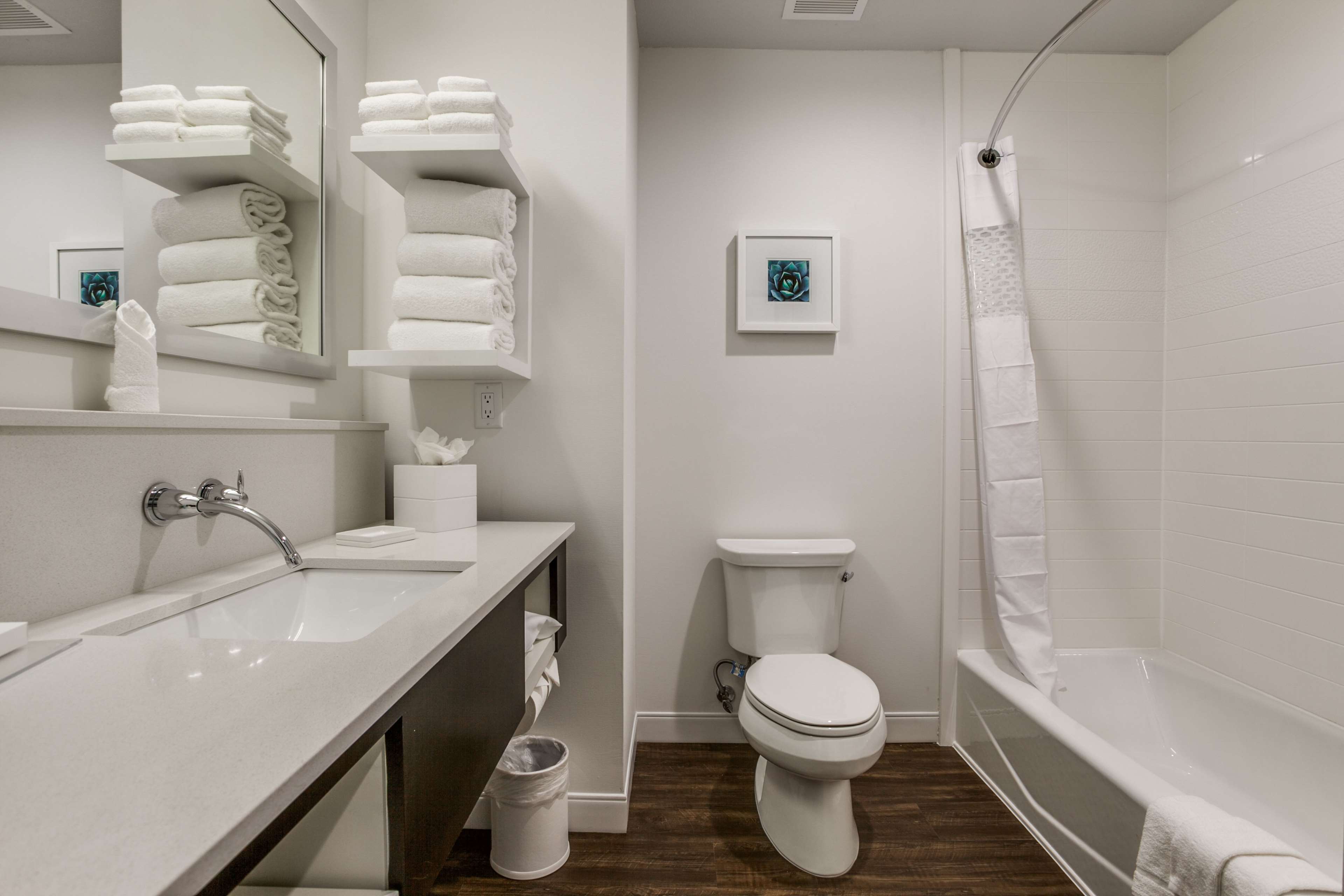 Guest room bath