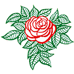 Logo der Rosen-Apotheke Rodewald