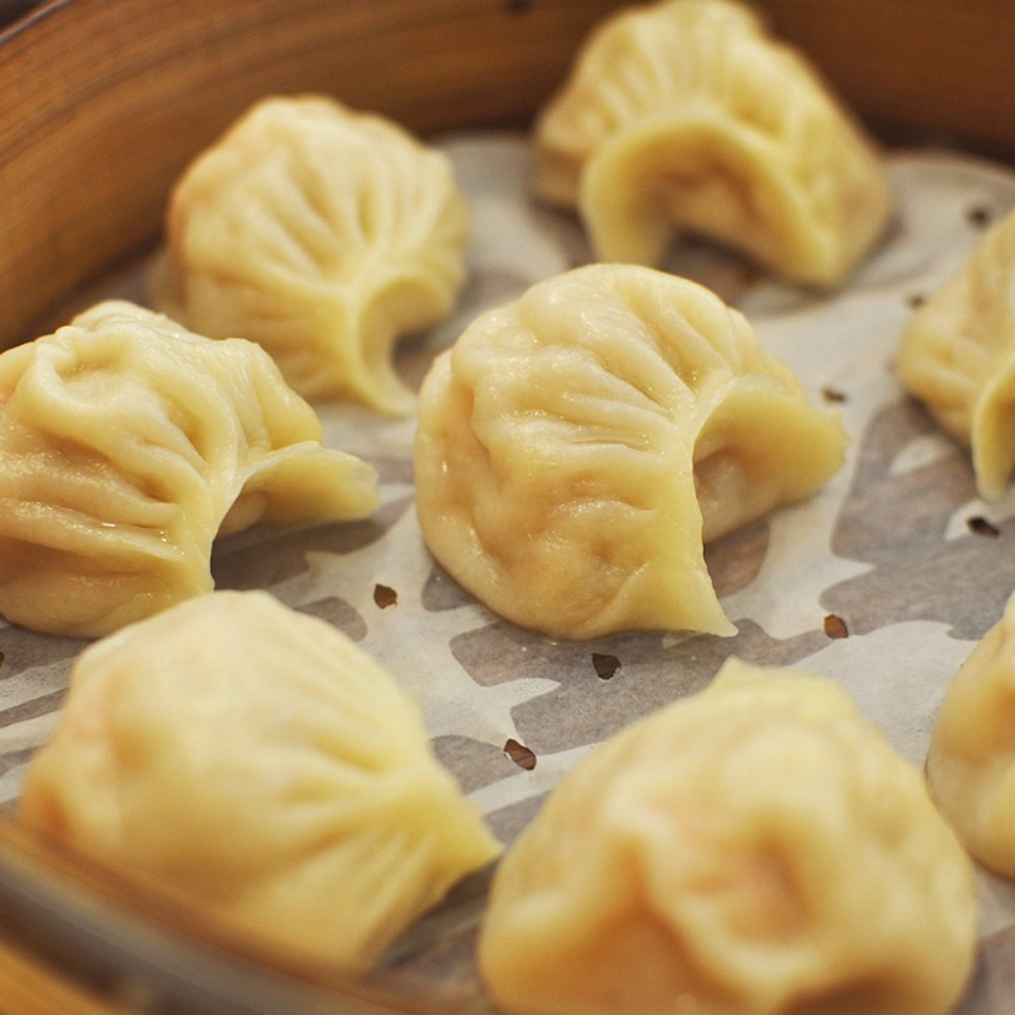 Shrimp Dumplings