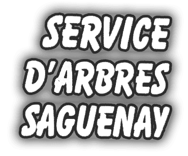Service d'Arbres Saguenay