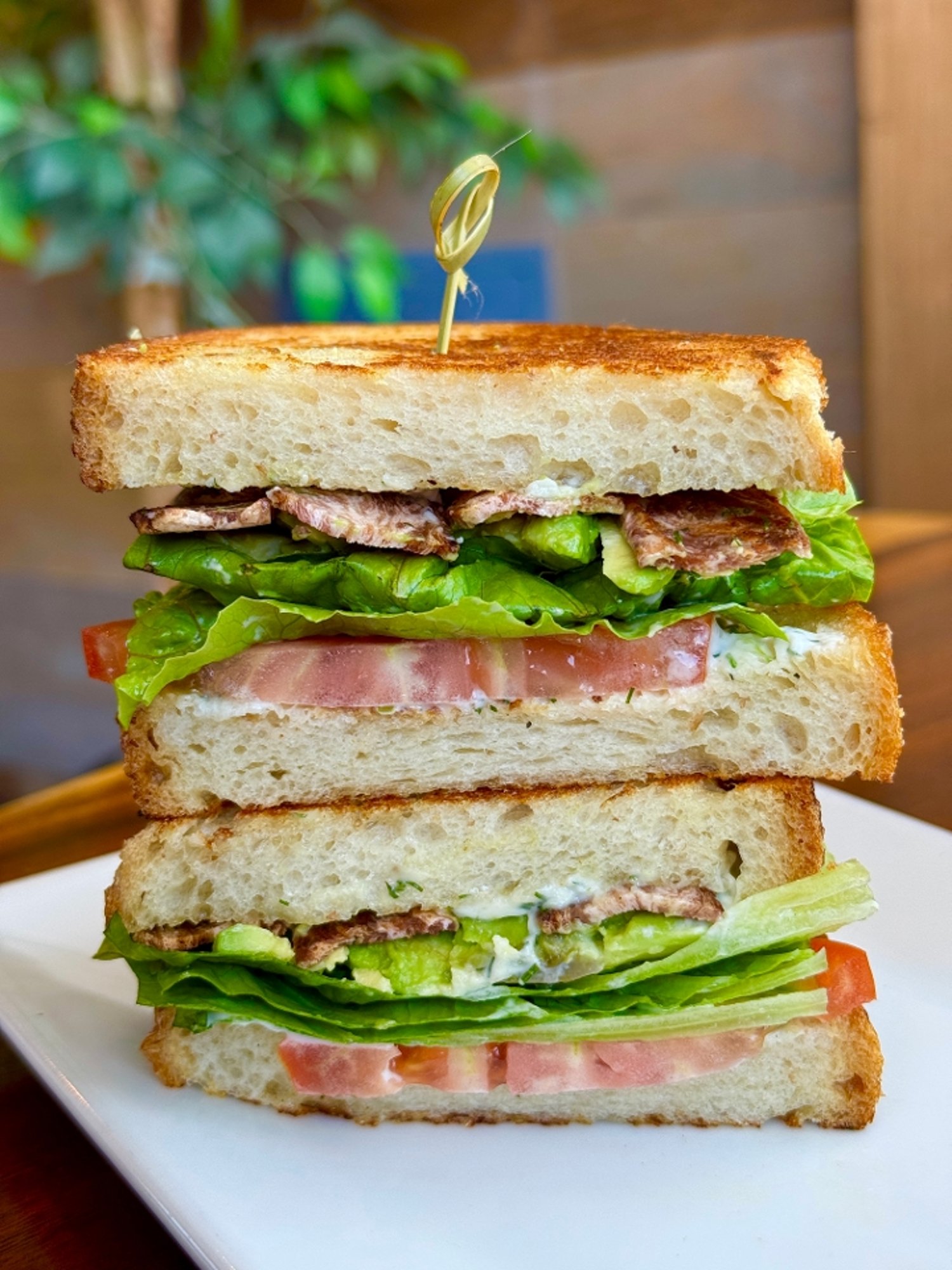 BLTA