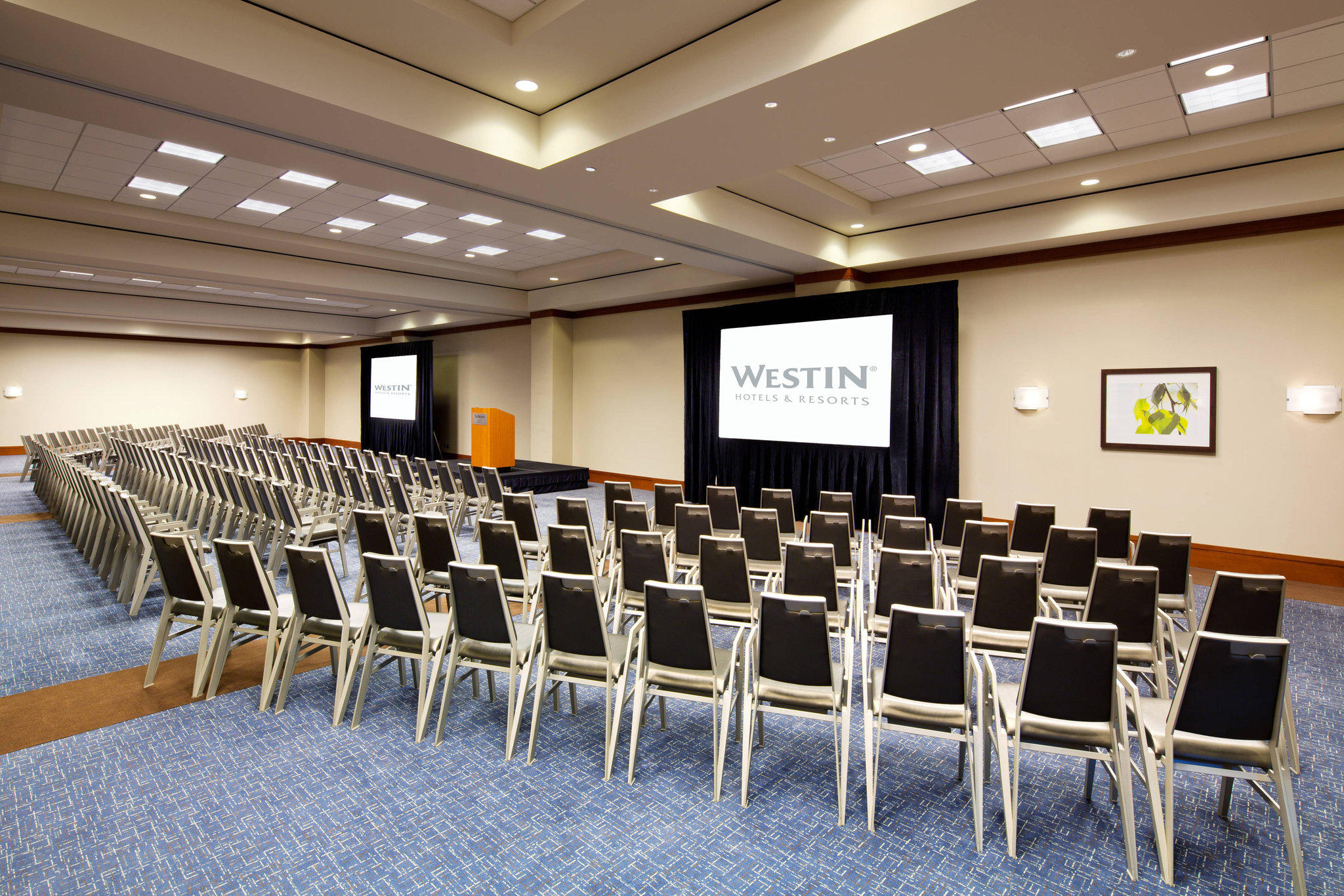 The Westin Houston, Memorial City Photo