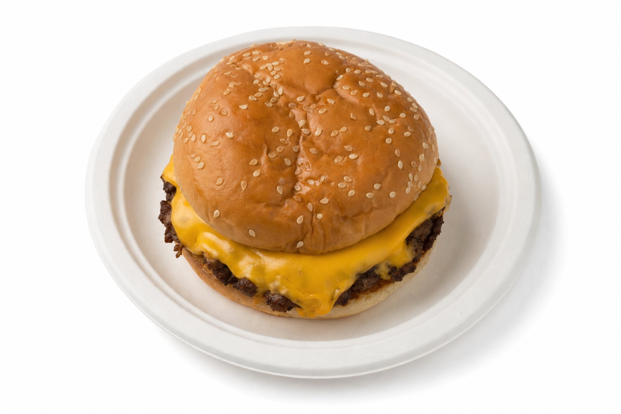 Cheese Burger (No Fries)
