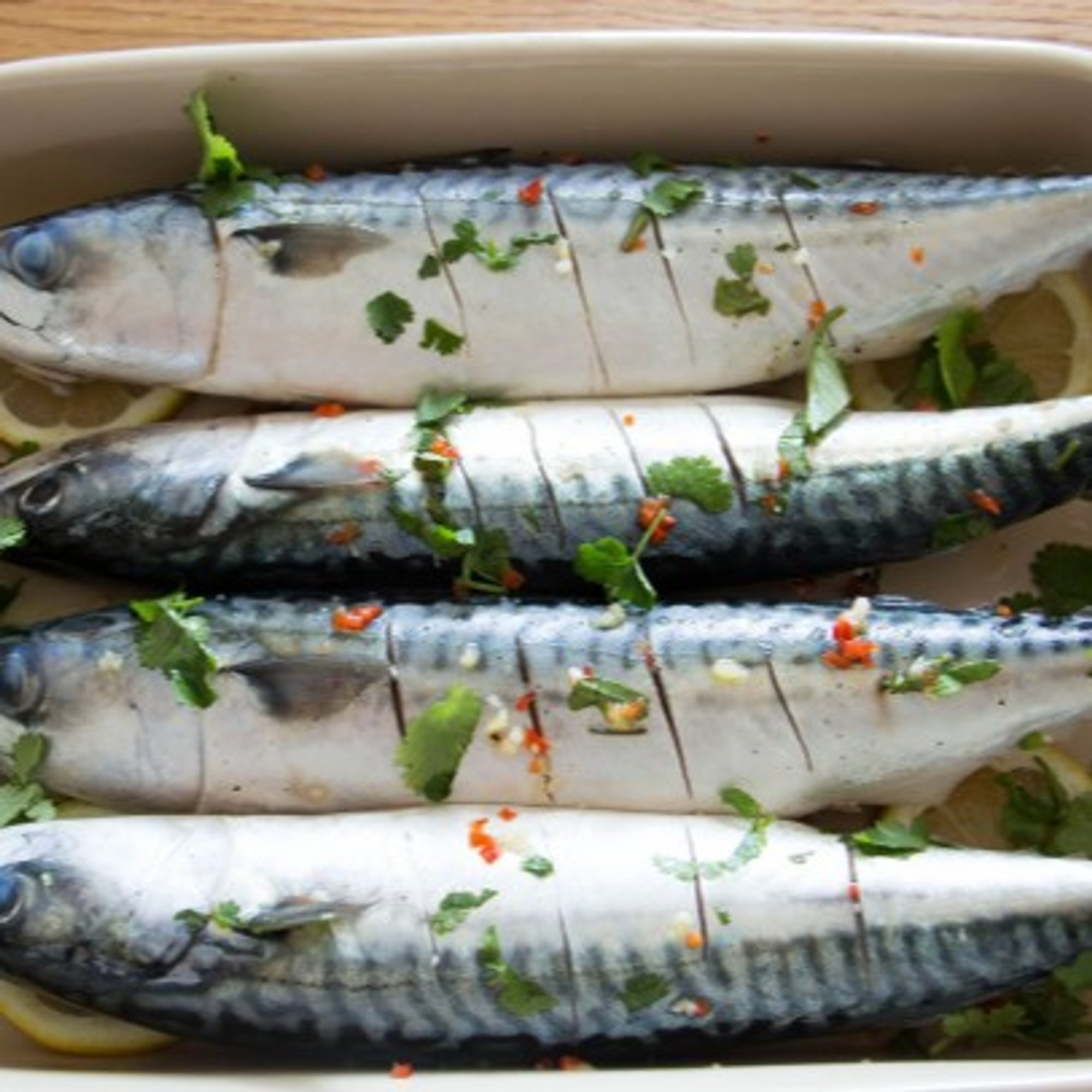 Mackerel