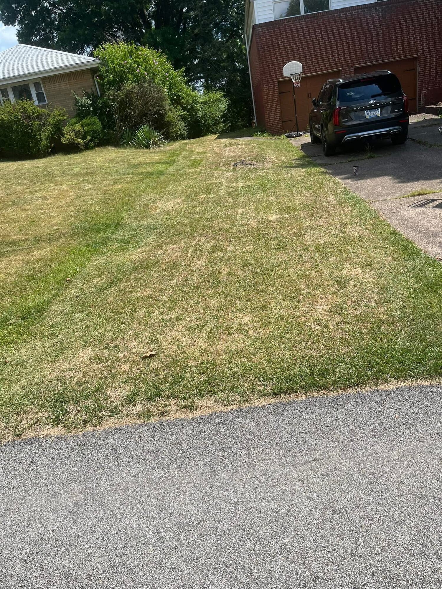 Gabriel Landscaping Image