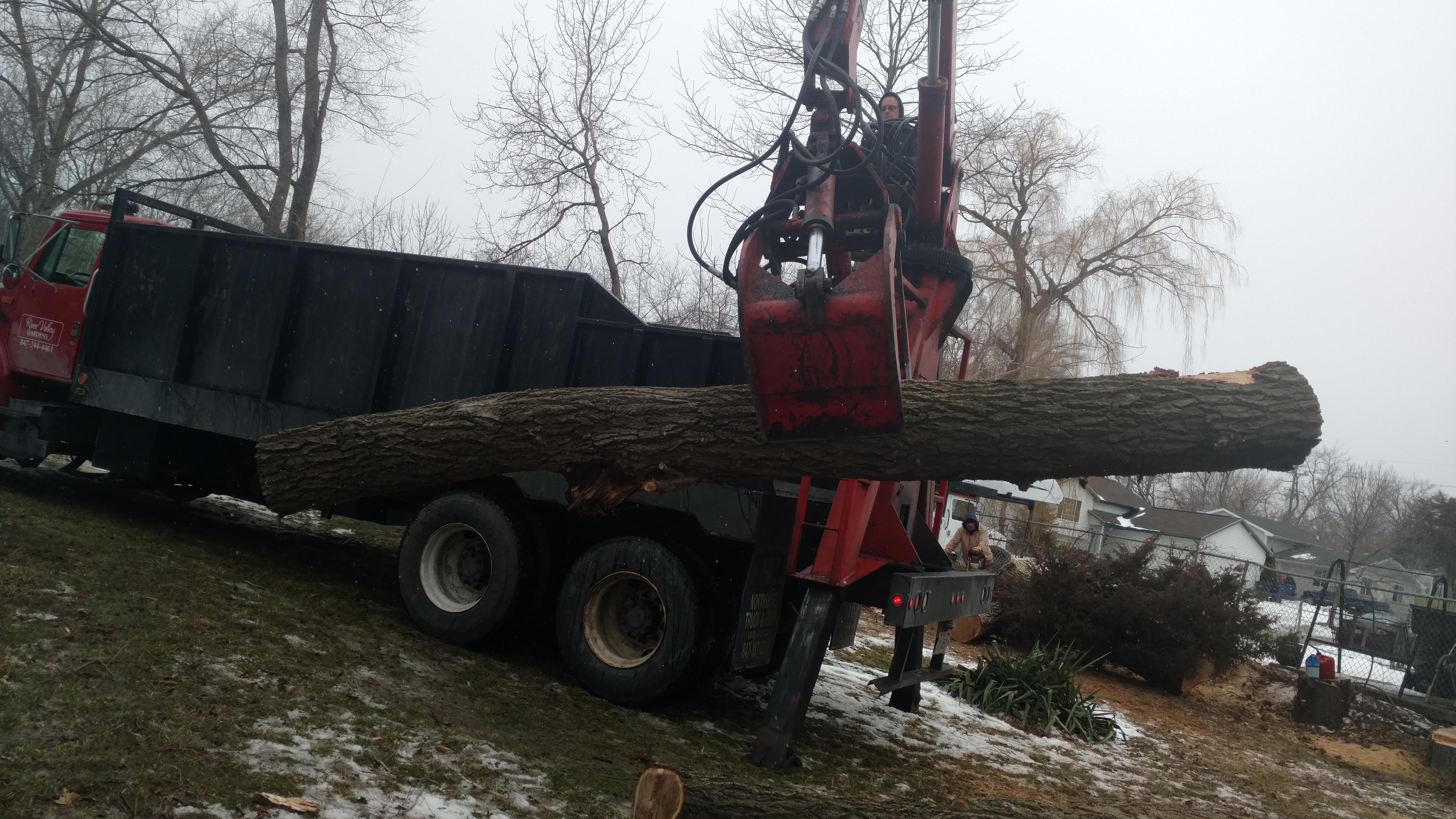 New Beginning Tree Service Company Image