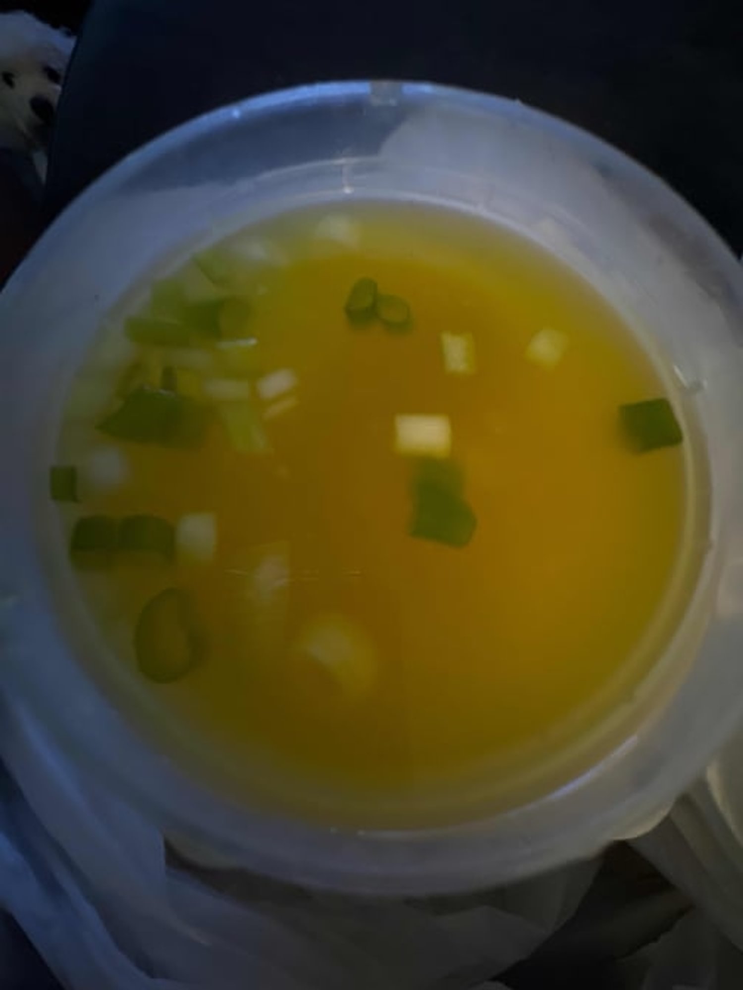 Wonton Soup