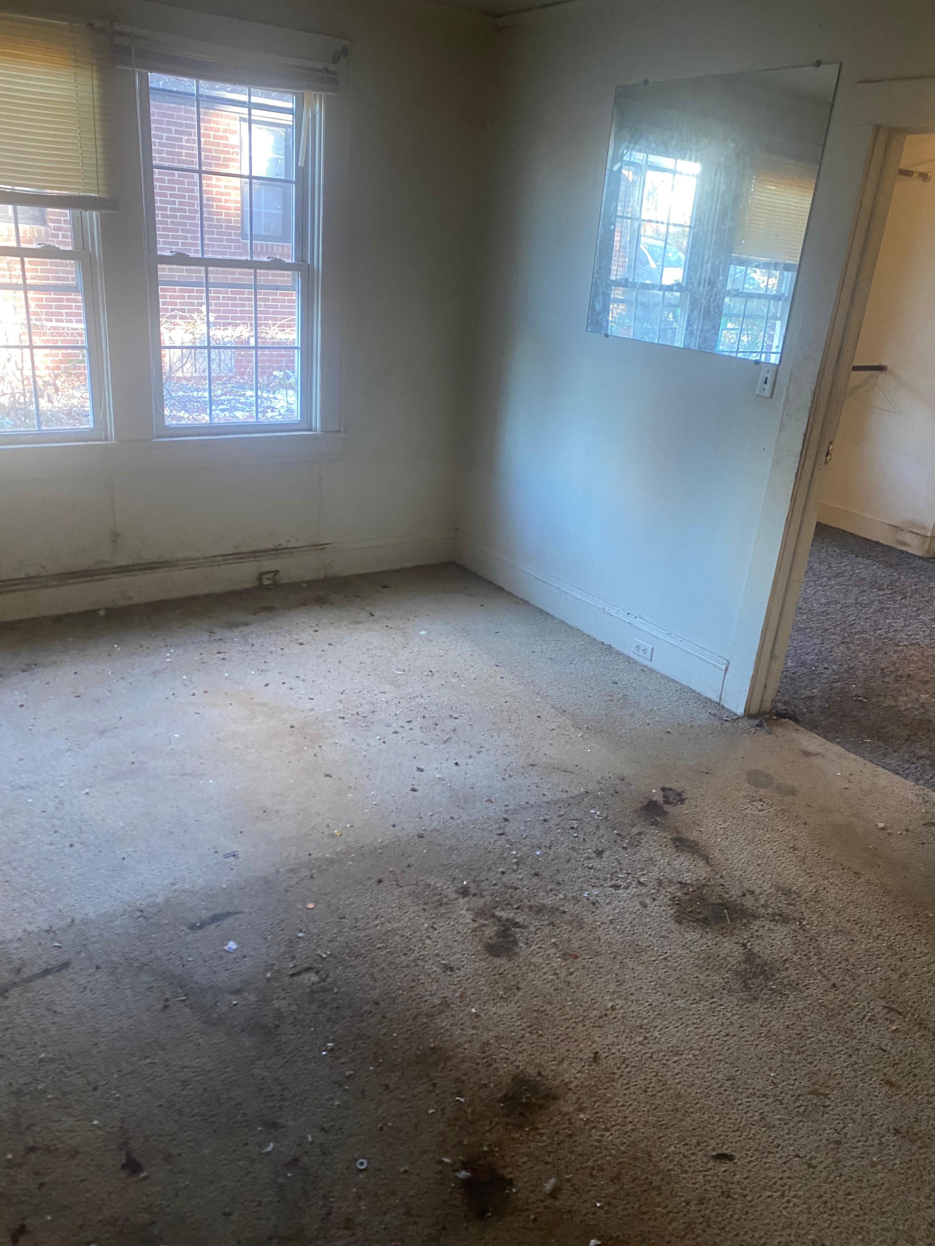 Bing Zaremba Handyman and Construction of Charlotte Image