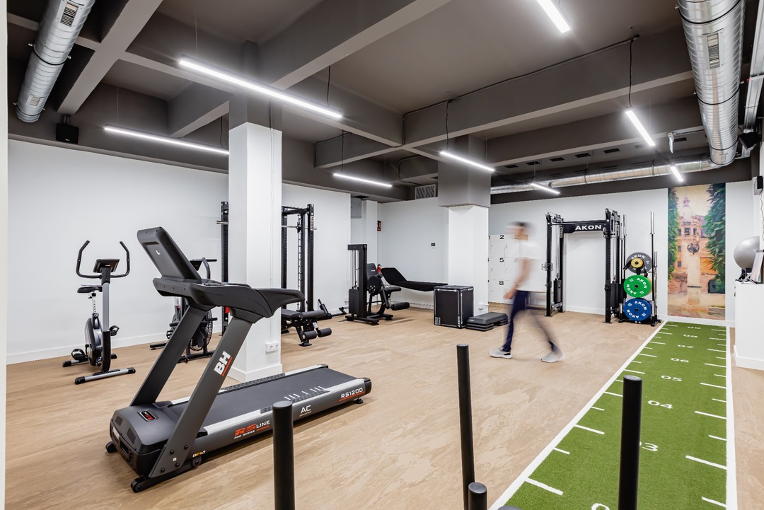 Galería en miniatura