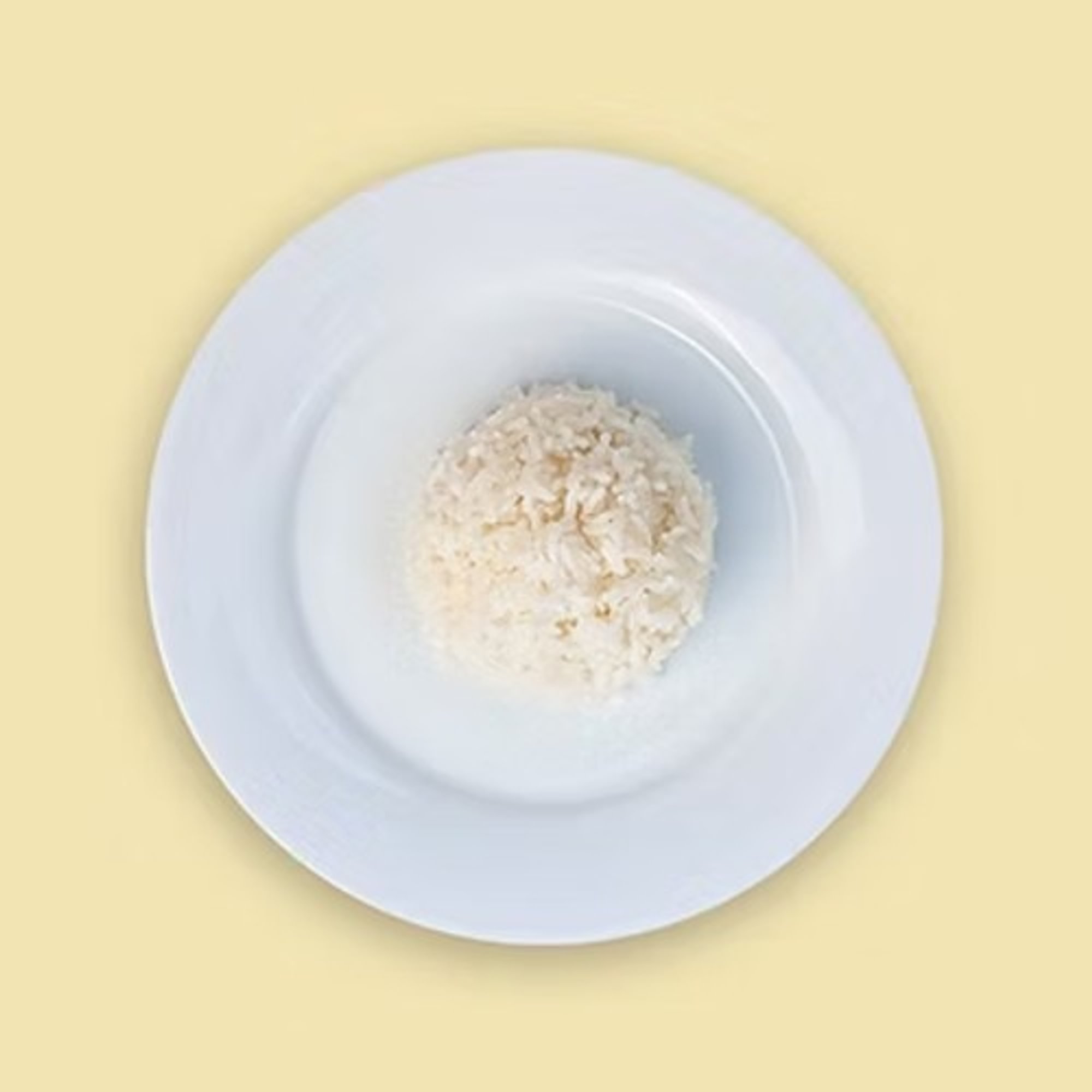 White Rice