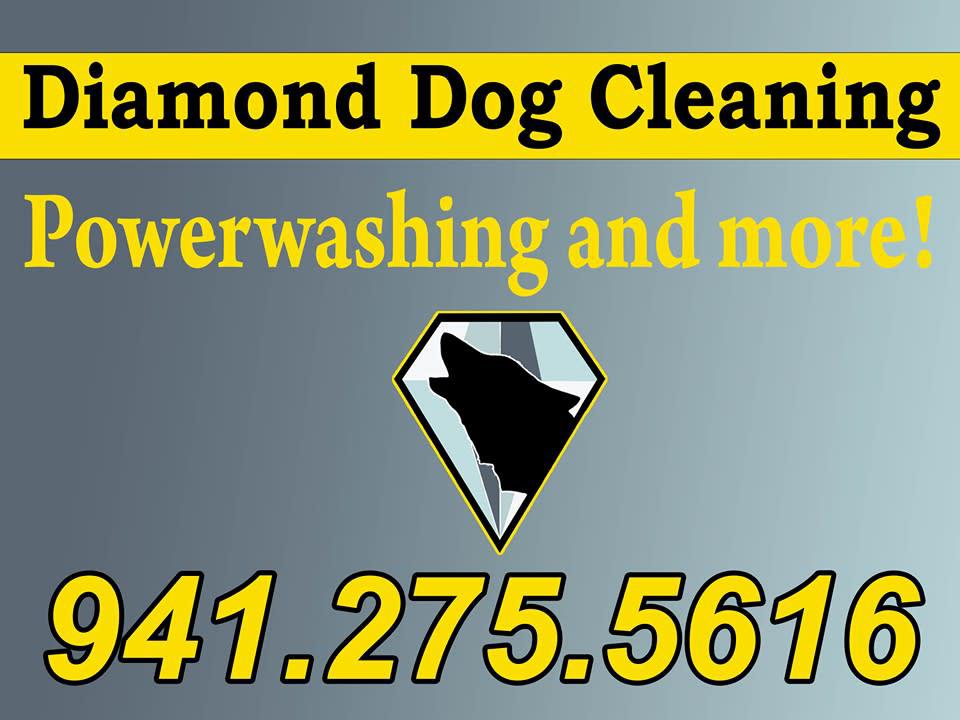 Diamond Dog Pressure Cleaning Photo