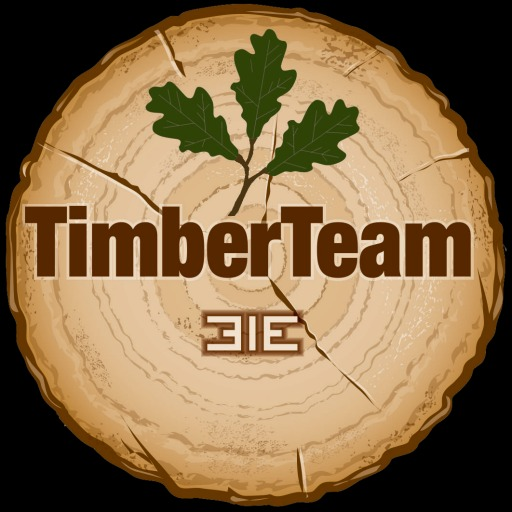 TimberTeam Holzbauten
