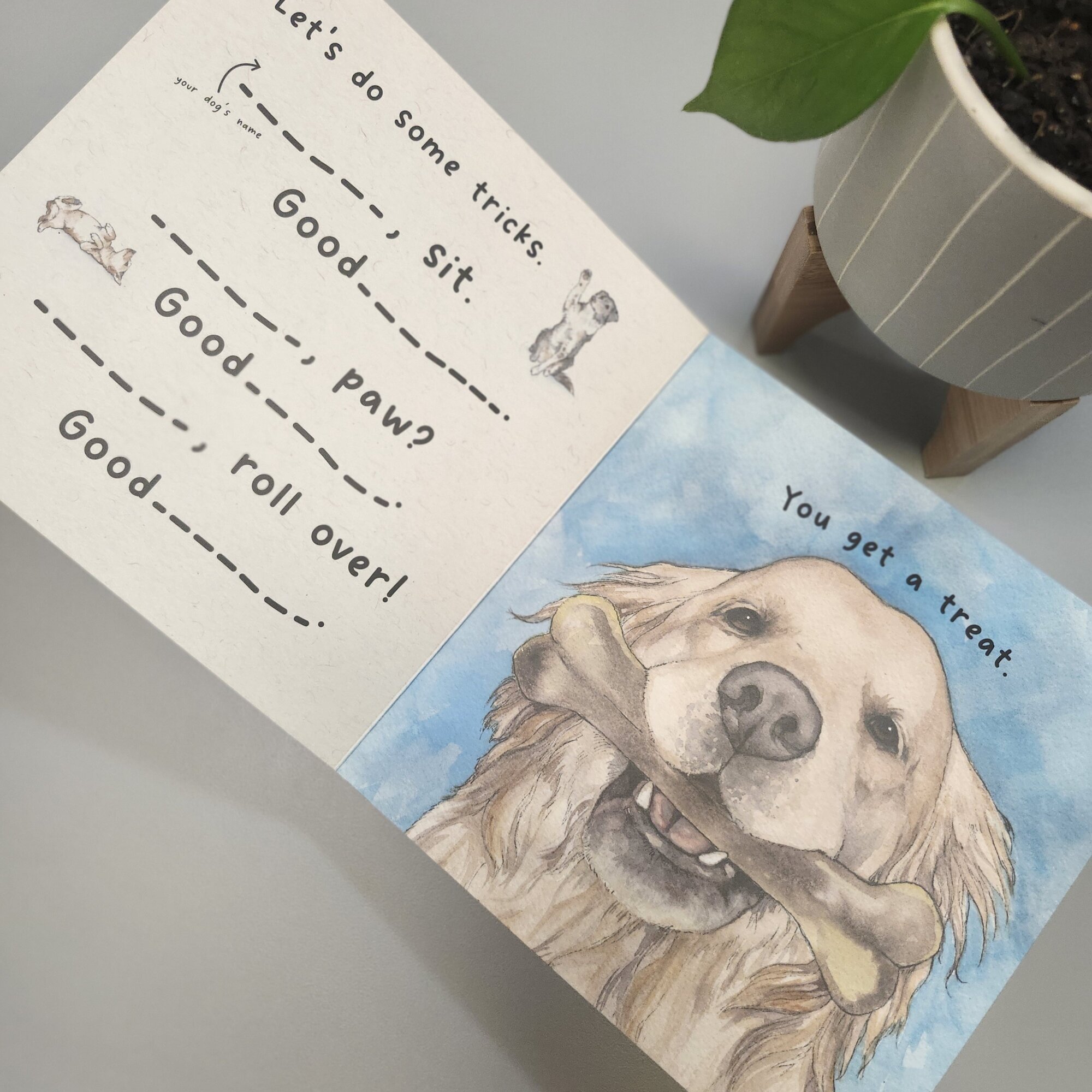 Charlie & Diana LLC Image