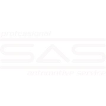 SAS Automotive Photo