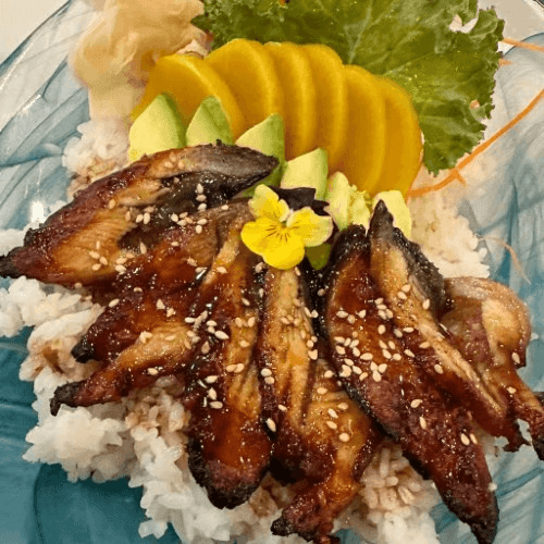 Unagi Don