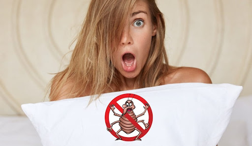 NJ Pest Control Image