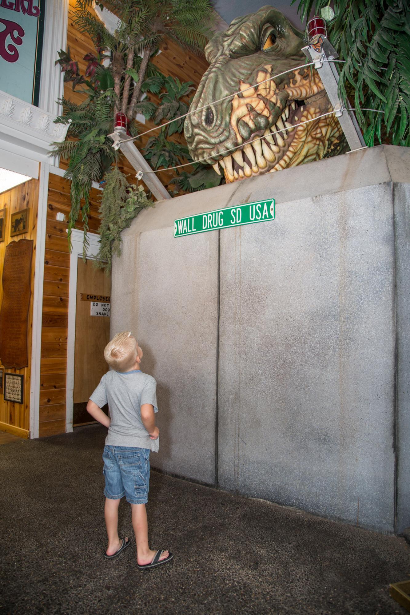 Wall Drug Store Image