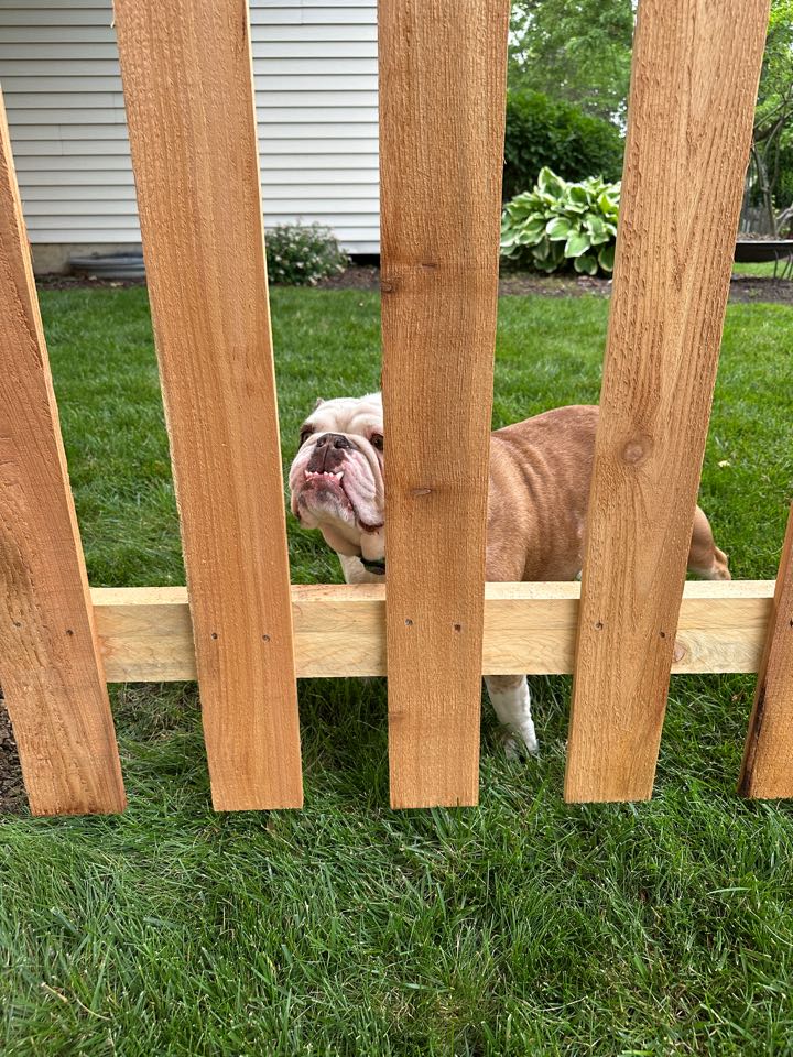 Top Rail Fence Naperville Image