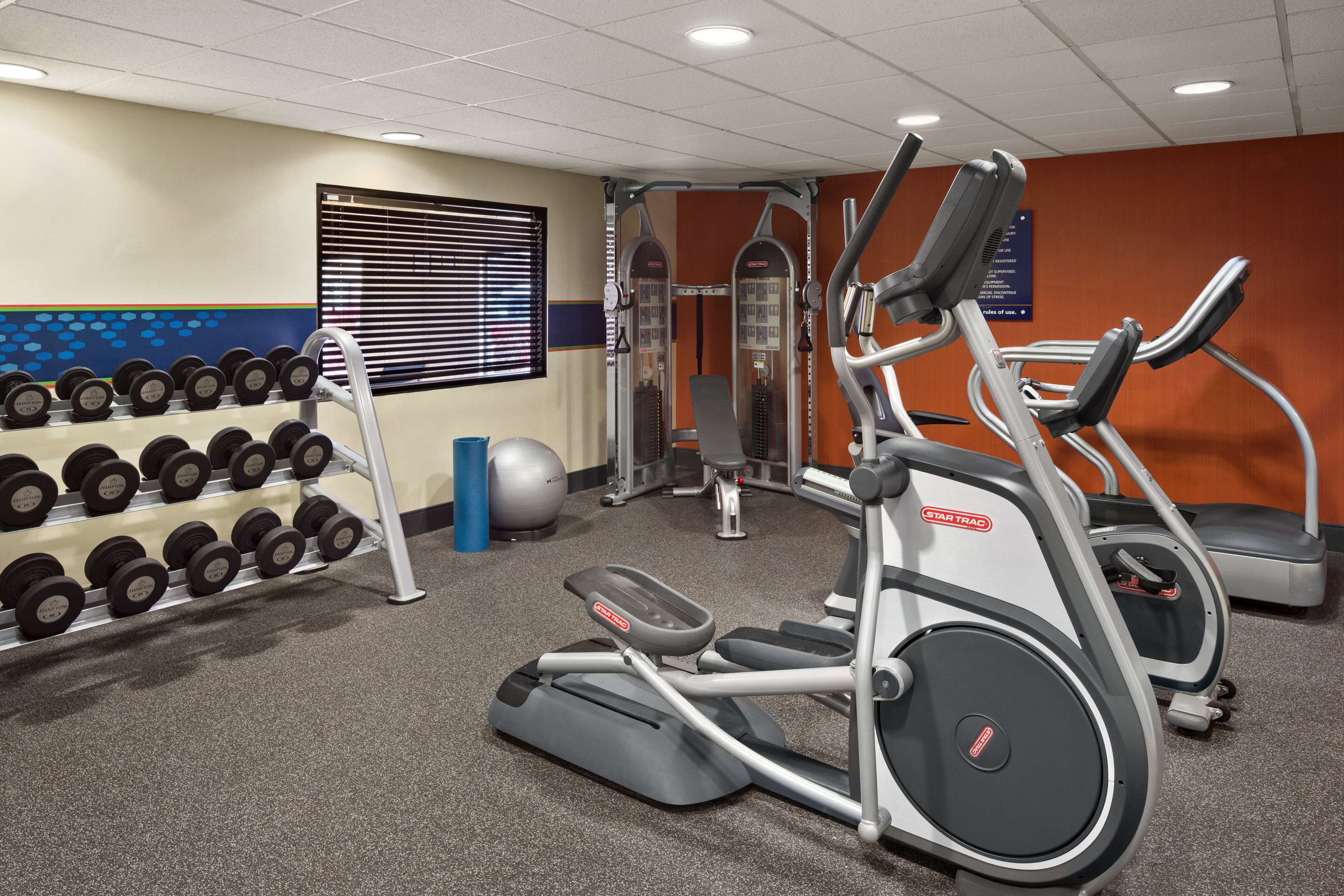 Health club  fitness center  gym