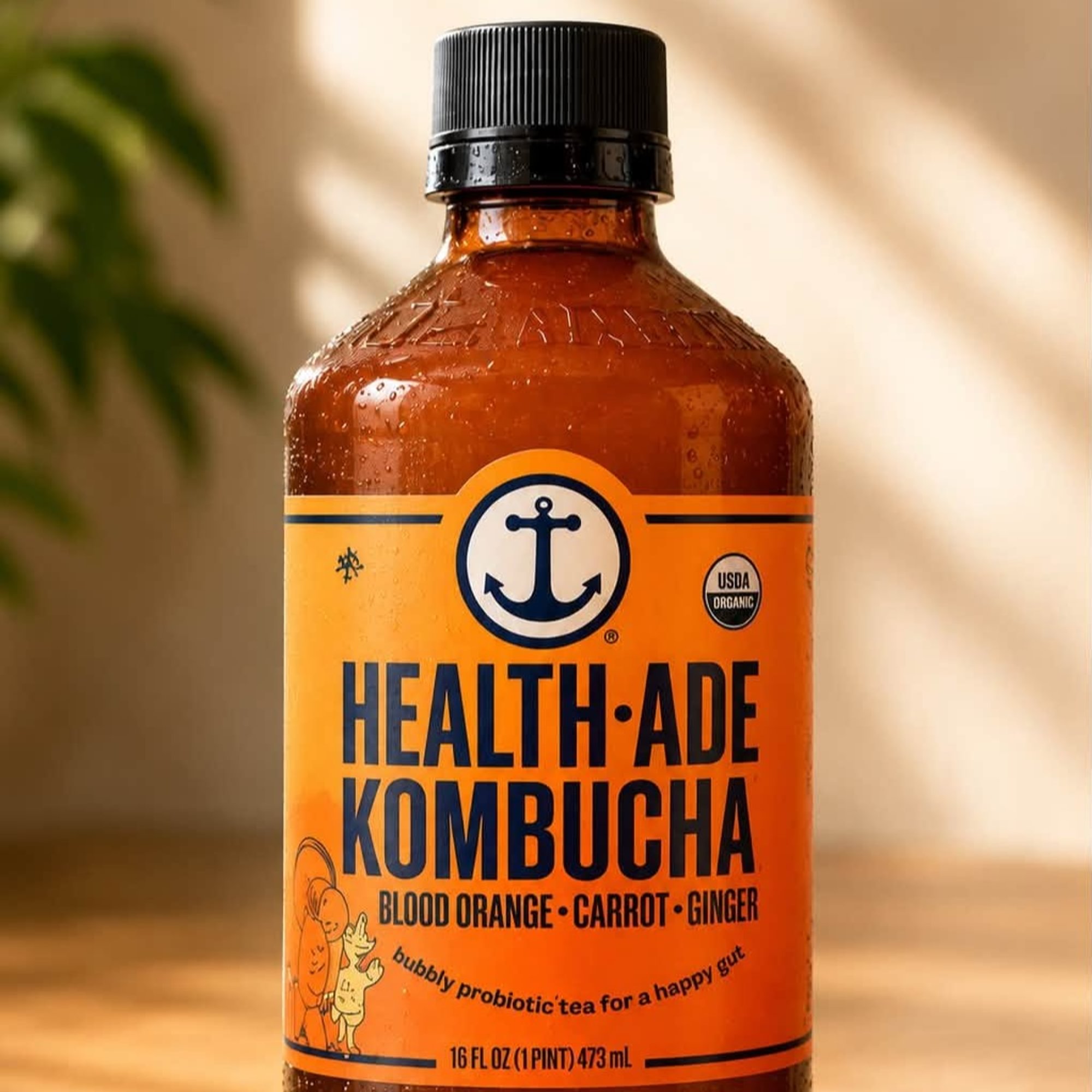 Kombucha (Organics)