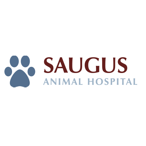 Saugus Animal Hospital Photo