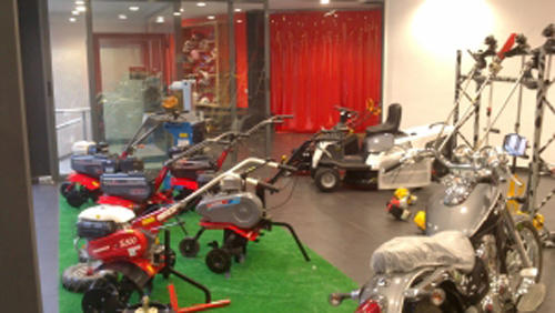 Galería en miniatura