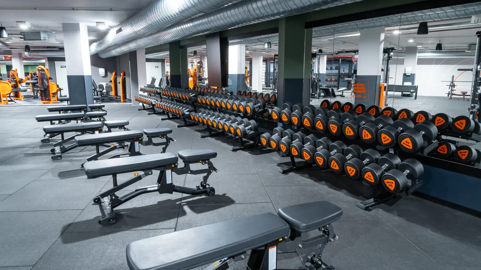 Galería de imágenes