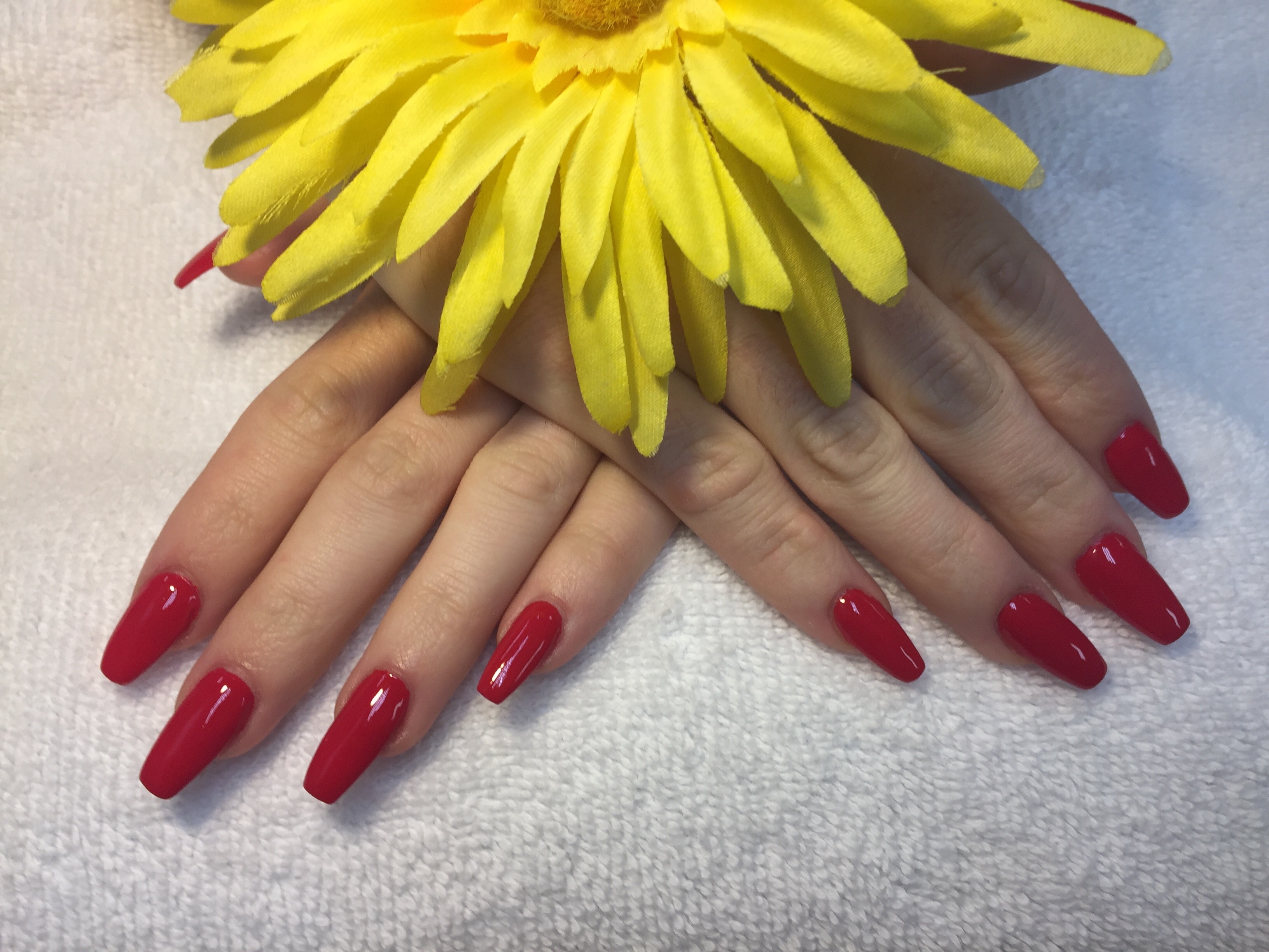 TL Nails & Spa image