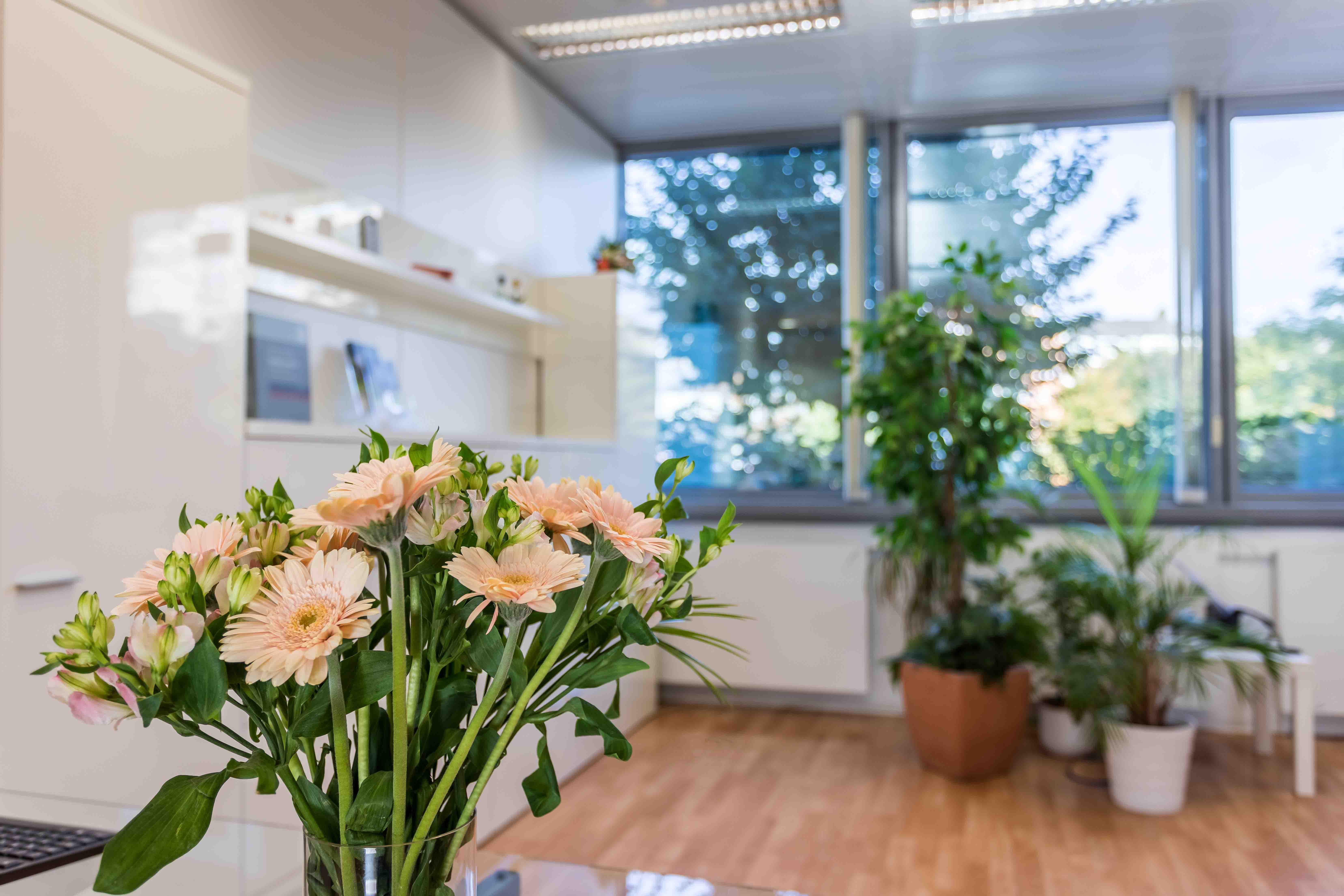 Bilder Gefäßchirurgie Praxis Dr. Iris Reiter-Höffken