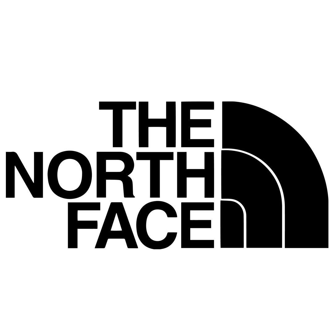 THE NORTH FACE
