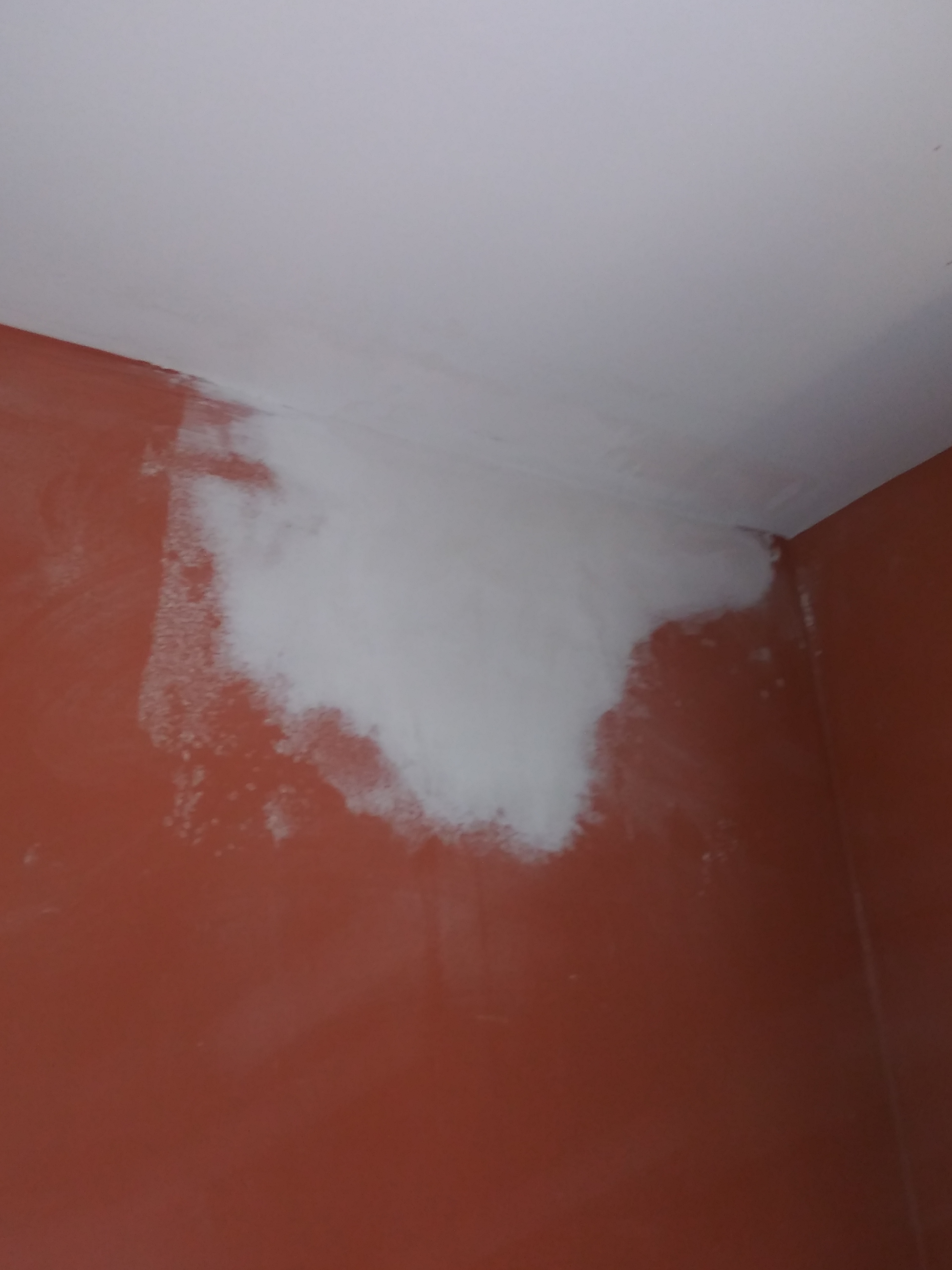 Topnotch Service Company Logo