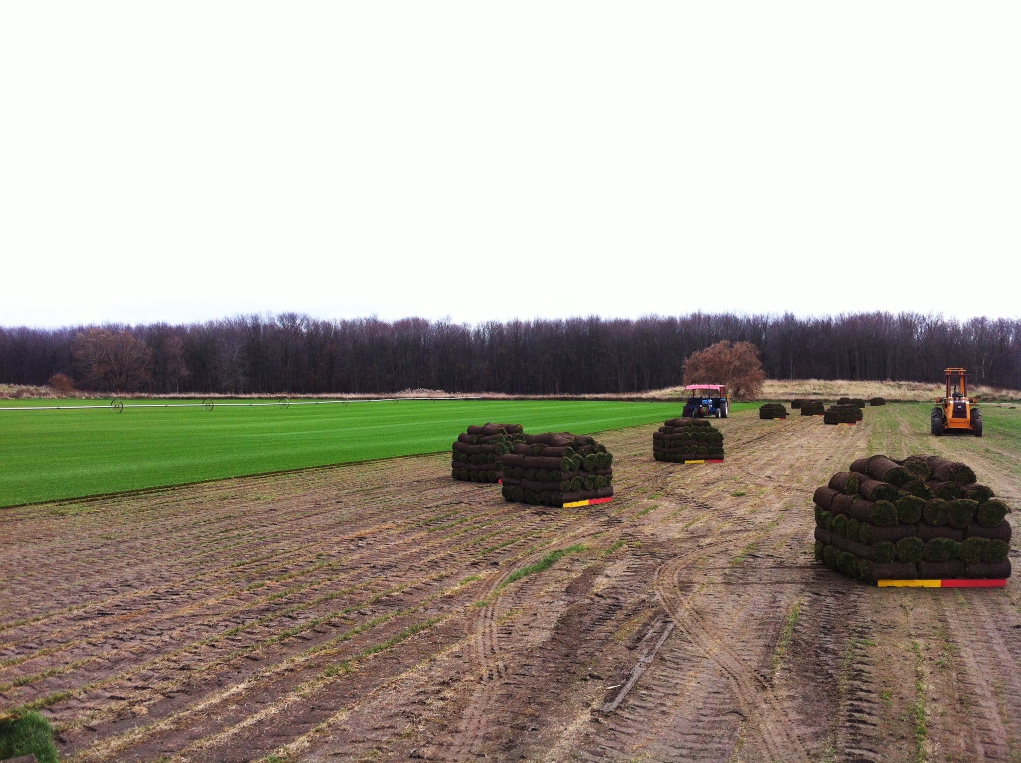 Images Smilsky Sod Farms Ltd